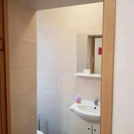 Economic Victoriei Apartmán *